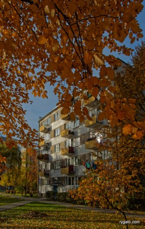 osiedle Lipińska jesienią